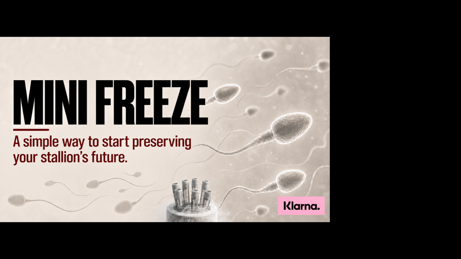 Mini Freeze
